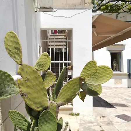 아파트 Vista Castello - 오트란토